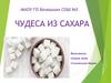 Чудеса из сахара