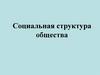 Социальная структура общества