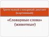Зрительный словарный диктант (картинный)
