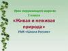 Живая и неживая природа  (2 класс)