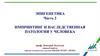 Импринтинг и наследственная патология у человека