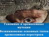 Геномные и хромосомные мутации