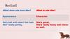 Spotlight 5. Module 4. English in Use