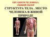 Организм человека. Общий обзор структура тела. Место человека в живой природе
