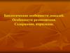 Биологические особенности лошадей. Особенности размножения. Содержание, кормление