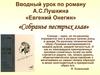 Вводный урок по роману А.С. Пушкина «Евгений Онегин»