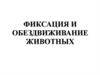Фиксация и обездвиживание животных