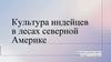 Культура индейцев в лесах северной Америке