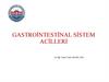 Gastroi̇ntesti̇nal si̇stem aci̇lleri̇
