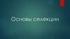 Основы селекции