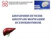 Биохимия печени. Биотрансформация ксенобиотиков