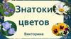 Викторина "Знатоки цветов"