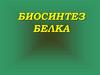 Биосинтез белка