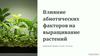 Влияние абиотических факторов на выращивание растений. Введение