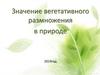 Значение вегетативного размножения в природе