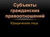 Субъекты гражданских правоотношений. Юридические лица