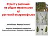 Стресс у растений: от общих механизмов до растений-экстремофилов