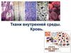 Ткани внутренней среды. Кровь  (лекция 5)