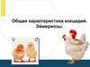 Общая характеристика кокцидий. Эймериозы