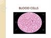 Blood cells