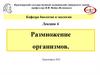 Размножение организмов  (лекция 4)