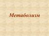 Метаболизм