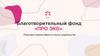 Благотворительный фонд «ПРО ЭКО». Помогаем семьям обрести счастье родительства