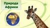 Природа Африки