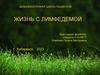 Дальневосточная школа пациентов. Жизнь с лимфедемой