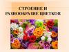 Строение и разнообразие цветков