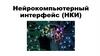 Нейрокомпьютерный интерфейс (НКИ)