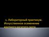 Искусственное осеменение крупного рогатого скота ( учебное руководство)