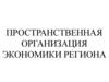 Пространственная организация экономики региона. Кластеры и агломерации
