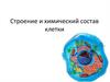 Строение и химический состав клетки
