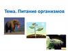 Питание организмов