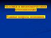 Человек в экономических отношениях. Главные вопросы экономики