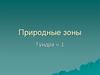 Природная зона – тундра
