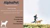 Альфапет. Отчёт по национальной выставке собак