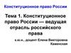 Конституционное право - ведущая отрасль права