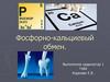 Фосфорно-кальциевый обмен