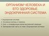 Организм человека и его здоровье. Эндокринная система