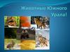 Животные Южного Урала