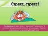 Стресс. Что такое стресс?