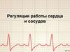 Регуляция работы сердца и сосудов