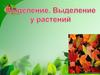 Выделение у растений. 6 класс