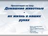Домашние животные - их жизнь в наших руках