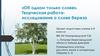Творческая работа - исследование о слове береза