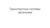 Транспортные системы организма