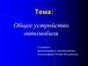 Общее устройство автомобиля