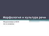 Морфология и культура речи. Подготовка к ЕГЭ. 10-11 классы